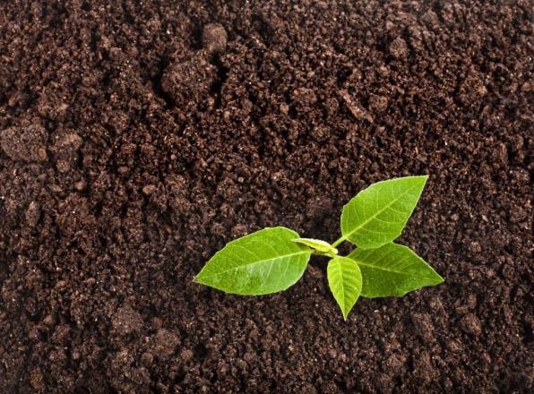 «БиоГрунт» - доставка почвогрунта и других растительных удобрений