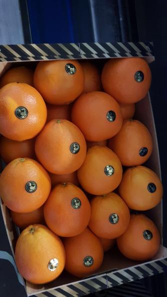 Продаем апельсины