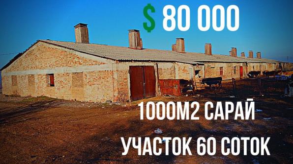 Продается Кашара 1000м2 очень выгодной цене в селе Воронцовка