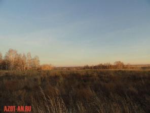 Продам большой земельный участок в Новосибирской области