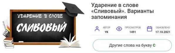 Как можно быстро изучить русский язык?