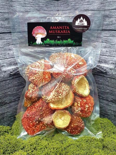 Мухоморы красные грибы лечебные сушёные шляпки, высший сорт