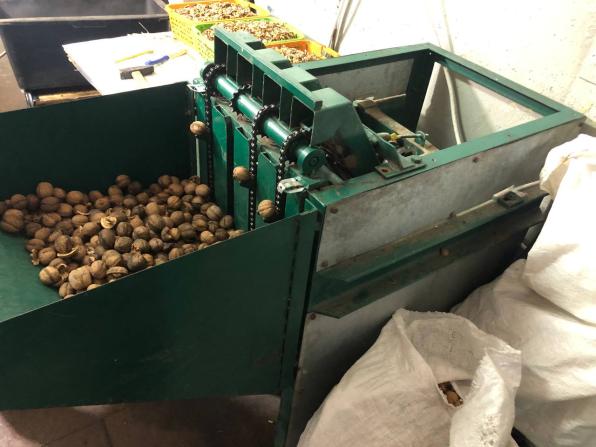 Продам Лінію з переробки волоського горіха