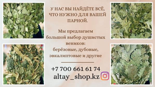 Погрузитесь в атмосферу настоящего банного отдыха