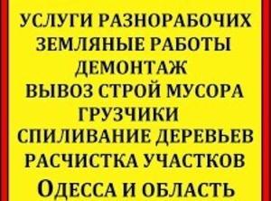 Демонтаж, землянные работы, уборка участка, спил с вывозом Одесса