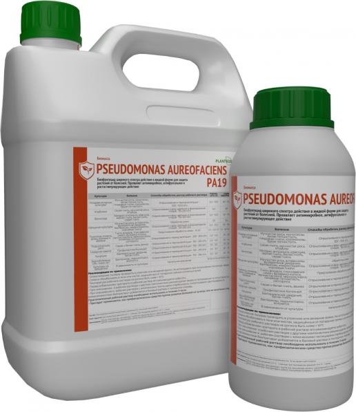 Pseudomonas aureofaciens РА19 - Фунгицид