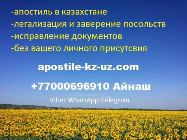 Помощь с документами из Казахстана любой сложности