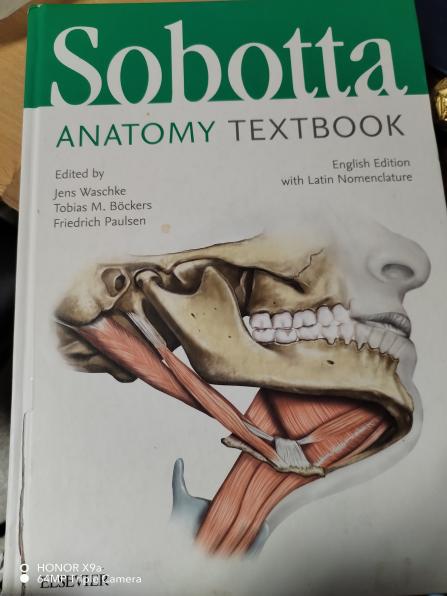 Книга по медицине Sobbota anatomy textbook