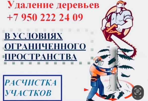 Спил, валка, удаление аварийных деревьев