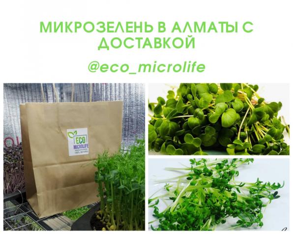 Микрозелень в Алматы с доставкой.
