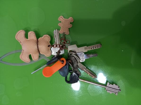Нашла ключи