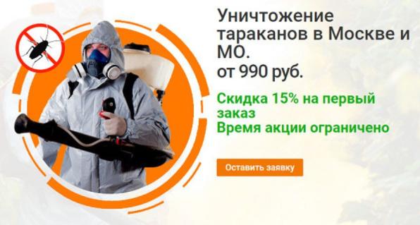 Необходимо навсегда избавиться от грызунов или насекомых?