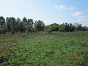 Продам участок 24 сотки под Киевом