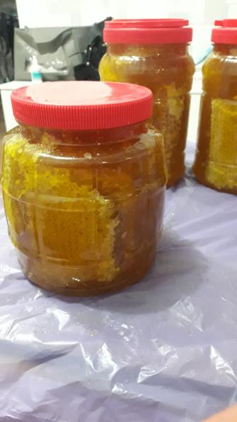 Мёд соты прополис