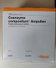 Coenzyme compositum ( Коэнзим компазитум)