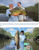 Горящая рыбалка на амазонии в Бразилии