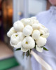 N&L Flower Shop: Доставка квітів по Києву, Херсону та Миколаєву!