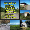 Продается кошара, с жилыми домами и земельным участком в с. Петровка.