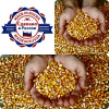 Кукуруза кормовая/Продовольственная/Экспорт