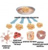 Стволовые клетки генная терапия лечение Болезни Паркинсона