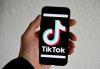 FlipTok – простой и мгновенный сервис для скачивания видеороликов с Ти