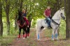 В Ростове лошади, конные прогулки для взрослых и детей