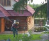 Уничтожение клопов, короеда, шершней и комаров в Орехово-Зуево