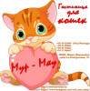 Передержка котов Минск