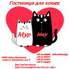 Передержка котов в Минске