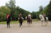 Покататься на лошадях в Ростове можно в Доме белой лошади. ЗЖМ.