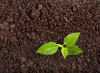 Доставка почвогрунта и других растительных удобрений