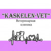 Ветеринарная клиника "KASKELEN - VET" в городе Каскелен.