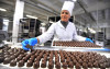 Высокооплачиваемая работа в Европе Германия, упаковщик на Склад шокола