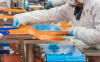 Производство рыбных изделий ( лосось ). Германия. Аванс по прибытию