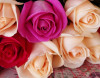 Цветы на заказ: розы и цветные каллы.