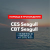 Помощь Seagull CES, Seagull CBT и сдача других тестов для моряков.