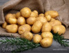 Продажа картофеля мелким и крупным оптом в Алтайском крае