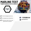 Успешное прохождение морских тестов: MARLINS, CES, ECDIS