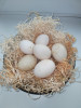 Инкубационное яйцо руанской утки