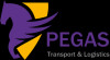 Международные грузоперевозки от «PEGAS LOGISTICS»