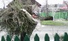 Уборка огородов, участков и территории в Донецке
