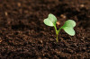 «БиоГрунт» - доставка плодородного грунта