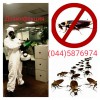 Уничтожение вредных насекомых, грызунов.