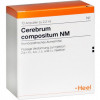 Церебрум композитум (Cerebrum Compositum NM)