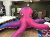 Надувной рекламный осьминог Inflatable octopus