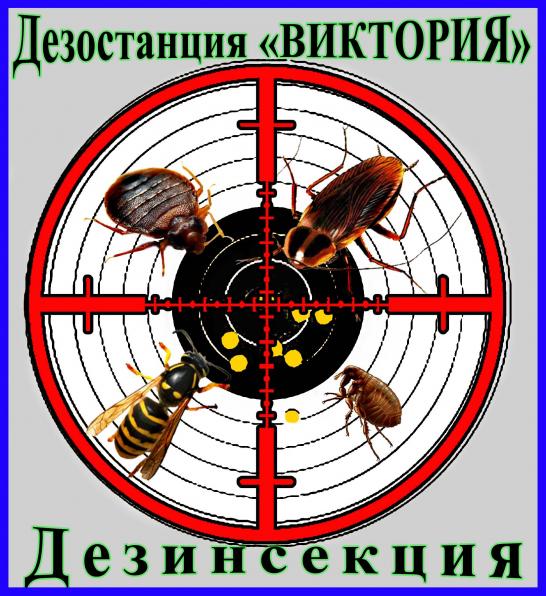 Борьба с насекомыми в помещениях и на участке. Алматы и область.