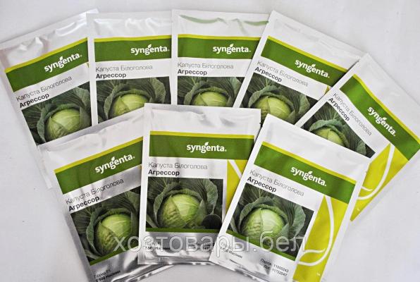 Семена Голландии, Витас