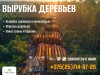 Спил, вырубка деревьев