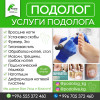 ПОДОЛОГ, Услуги Подолога