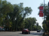 Размещение рекламы на столбе Алматы.